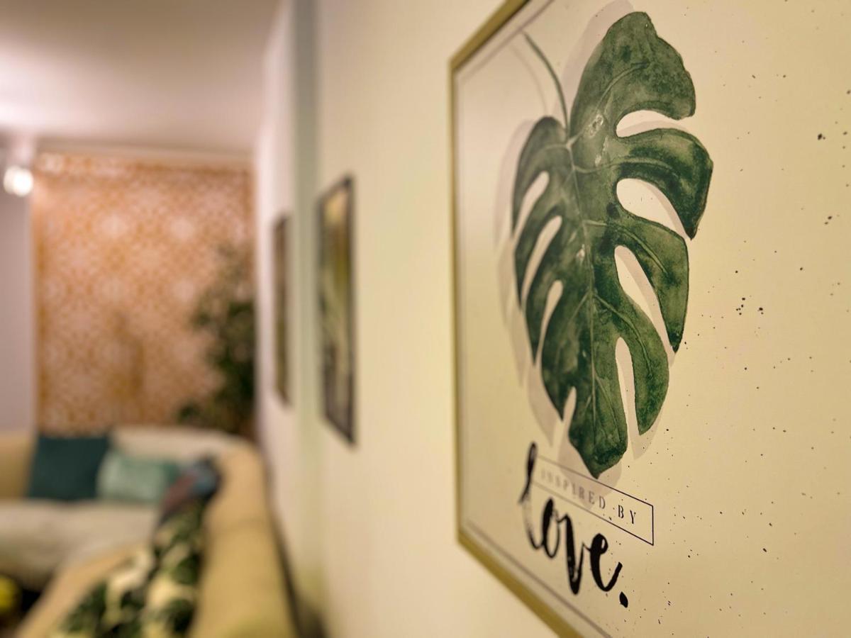 Apartamento Dos Sonhos - Centro Bc
